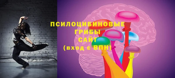 индика Переславль-Залесский