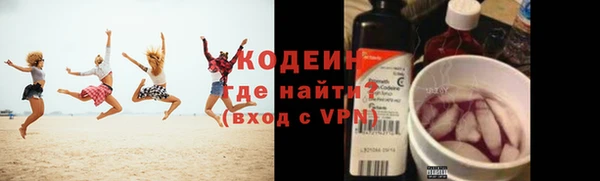 крисы Абаза
