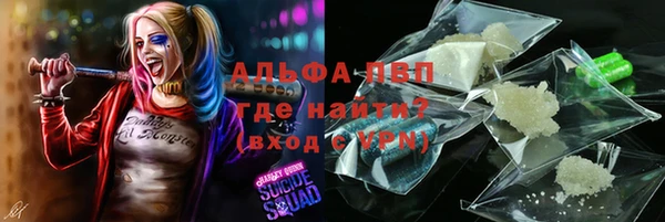 гашик Покров