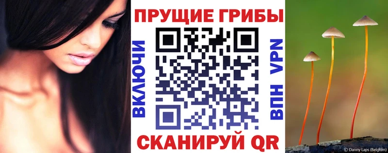 kraken   Старый Крым  Галлюциногенные грибы Psilocybine cubensis 